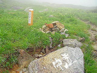 中道を行く