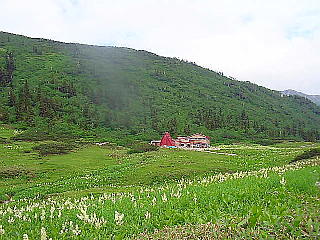 黒部五郎小屋とコバケイソウ