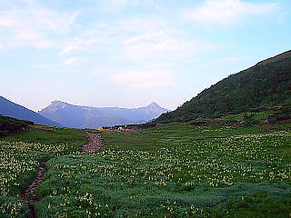 笠ヶ岳が見える