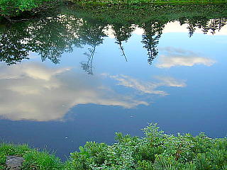池に映る空と雲