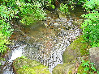 西沢の流れ