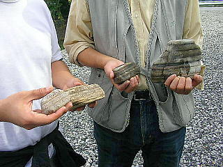 姉川の虎石